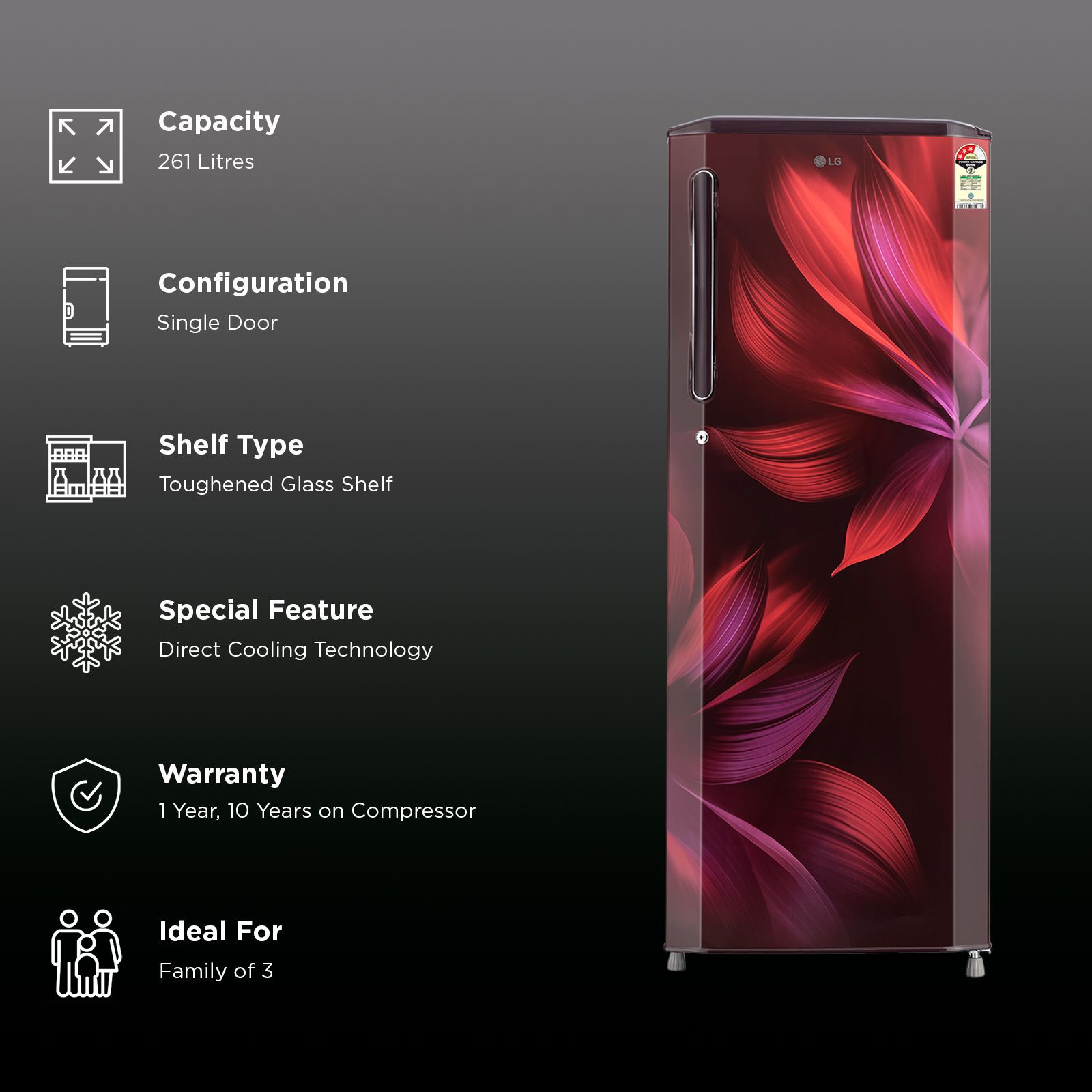 Buy LG 281 Series 261 Litres 3 Star Direct Cool Single Door